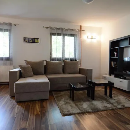 Apartment Ogi I Ana Bajina Basta