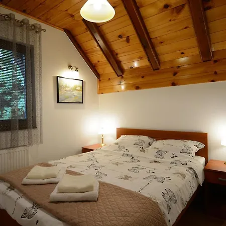 Ogi I Ana Apartment Bajina Basta