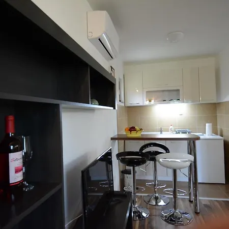 Ogi I Ana Apartment Bajina Basta