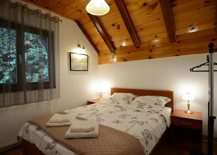 Ogi I Ana Lejlighed Bajina Basta